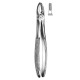 Dental Forceps English Pattern